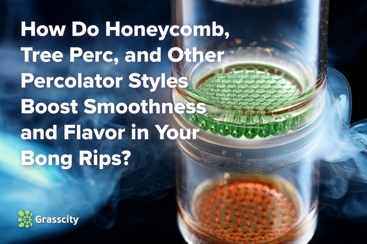 How Do Honeycomb, Tree Perc, and Other Percolator Styles Boost Smoothness and Flavor in Your Bong Rips?