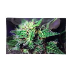 V Syndicate Large Glass Rolling Tray | Blue Dank